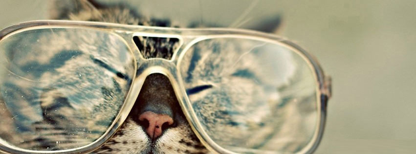 Cat Sunglasses Facebook Covers