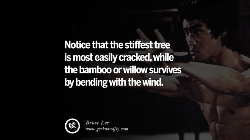 Notice that the stiffest tree is most easily cracked, while the bamboo or willow survives by bending with the wind.