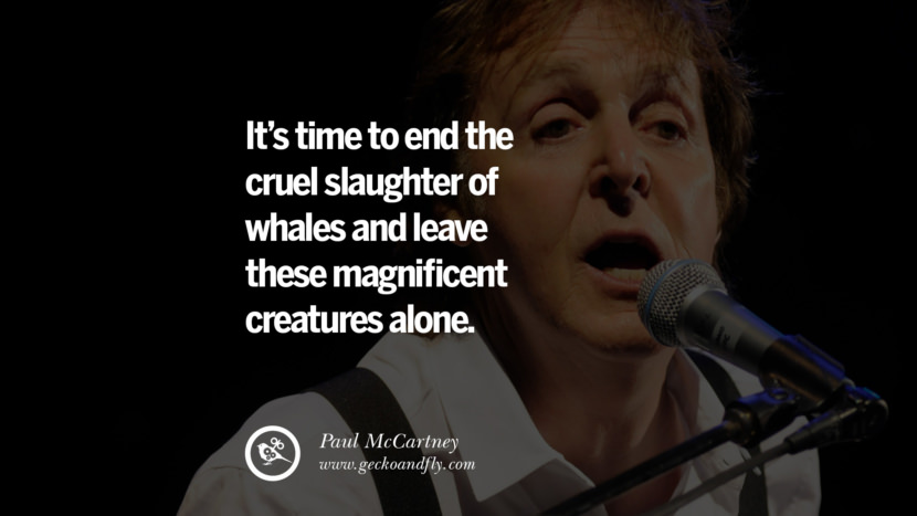 It's time to end the cruel slaughter of whales and leave these magnificent creatures alone. Quote by Paul McCartney