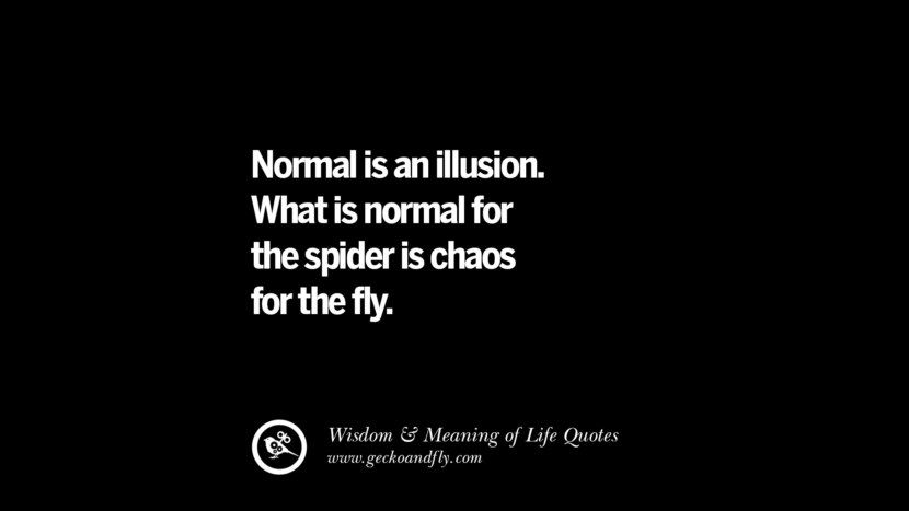 Normal is an illusion. What is normal for the spider is chaos for the fly.