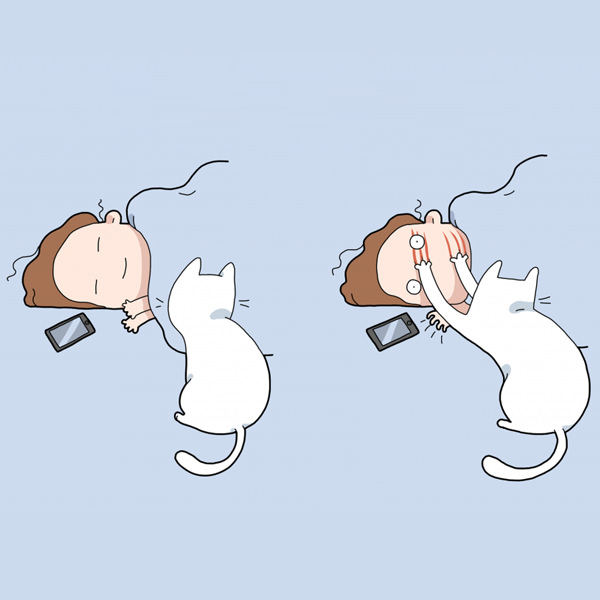 Funny Doodles For Cat Lovers