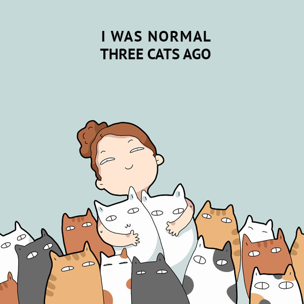 40 Funny Doodles For Cat Lovers and Your Cat Crazy Lady Friend