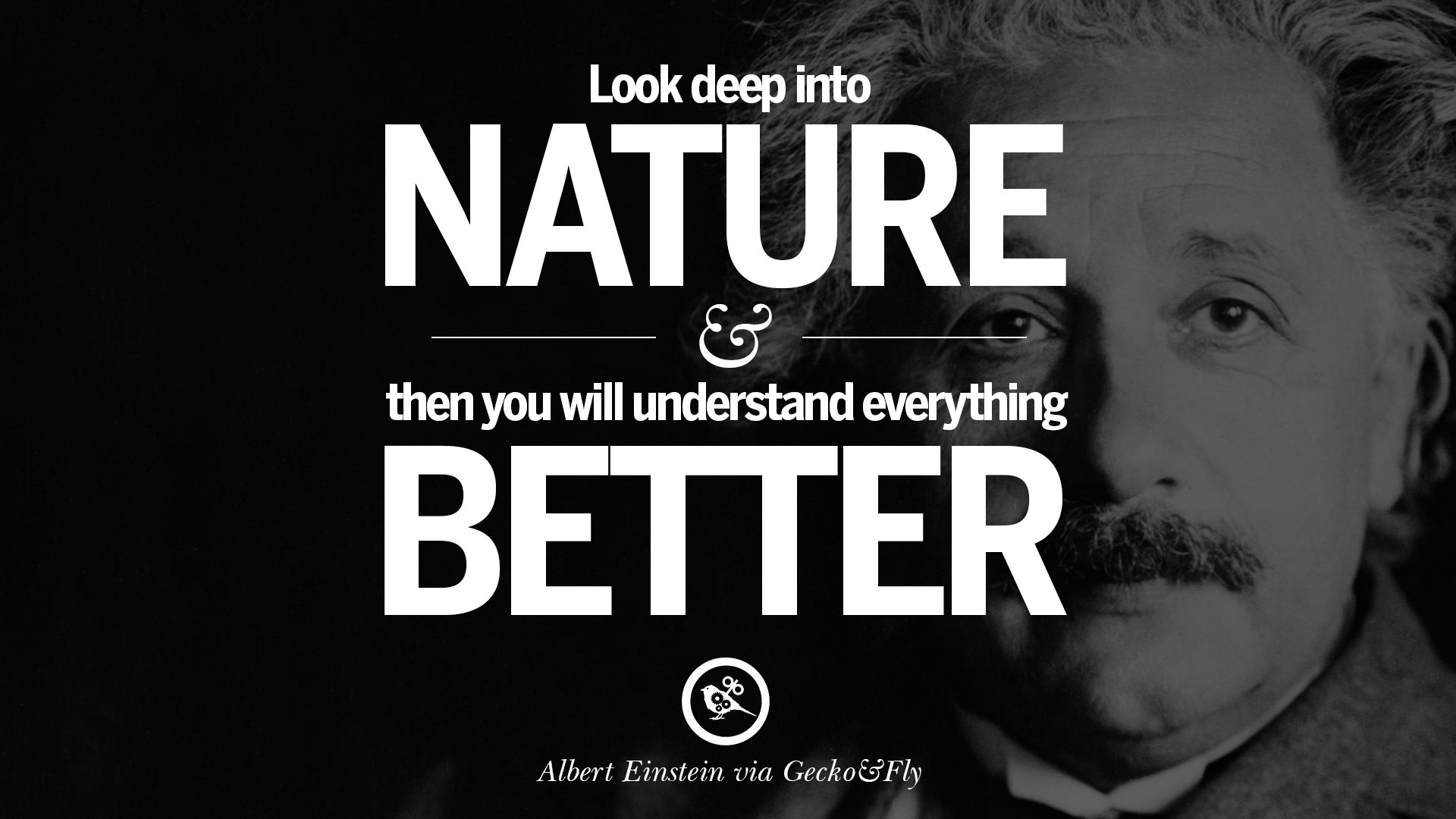 40 Beautiful Albert Einstein Quotes on God, Life, Knowledge Imagination