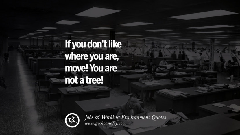 If you don't like where you are, move! You are not a tree!