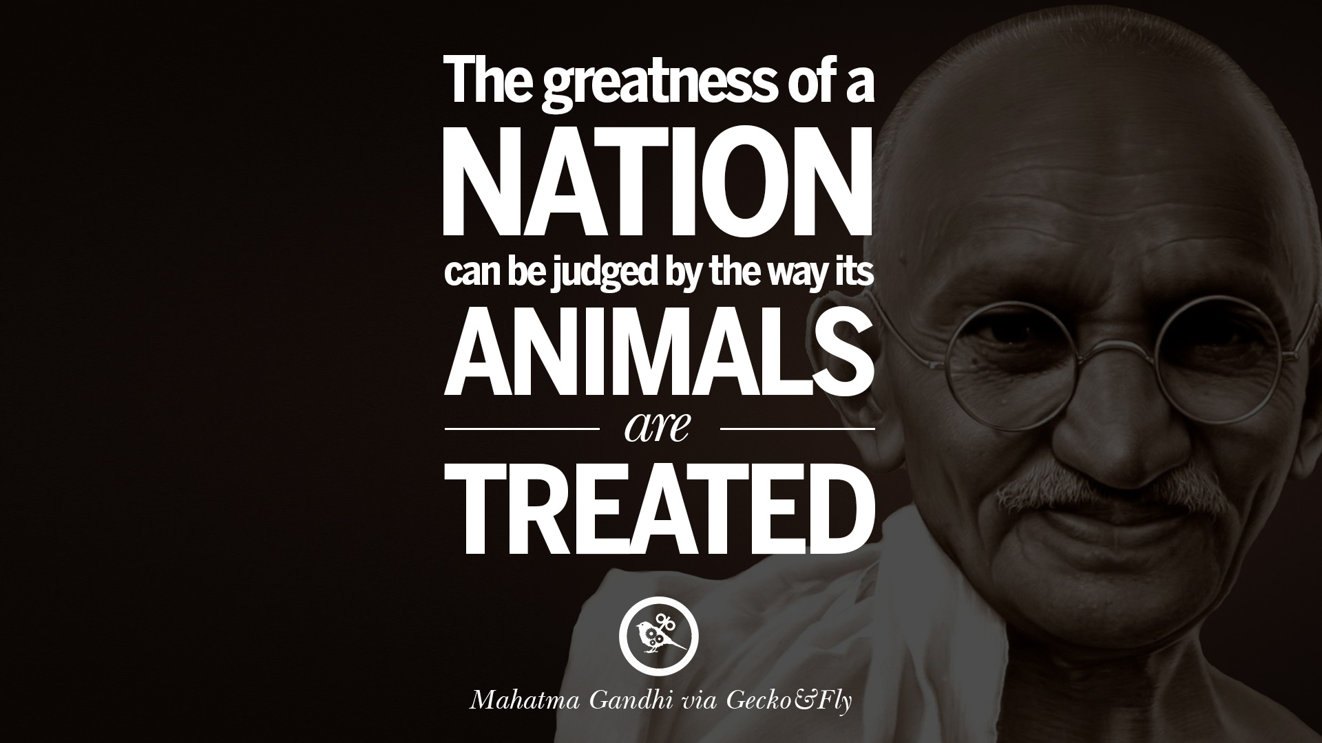 gandhi quotes animals