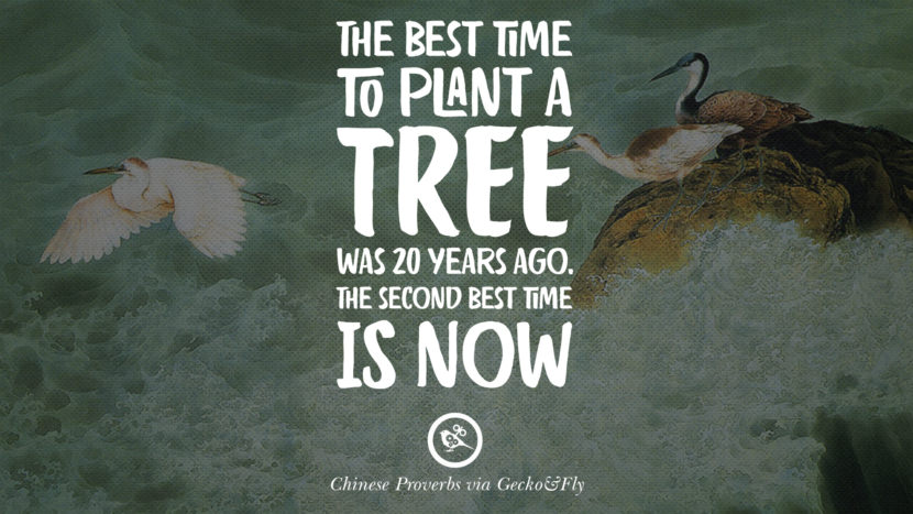 The best time to plant a tree was 20 years ago. The second best time is now.