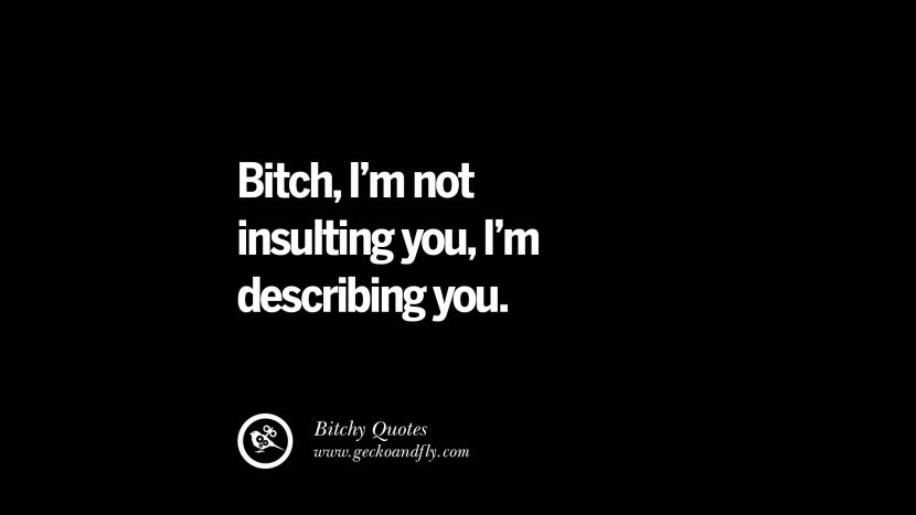 Bitch, I'm not insulting you. I'm describing you.