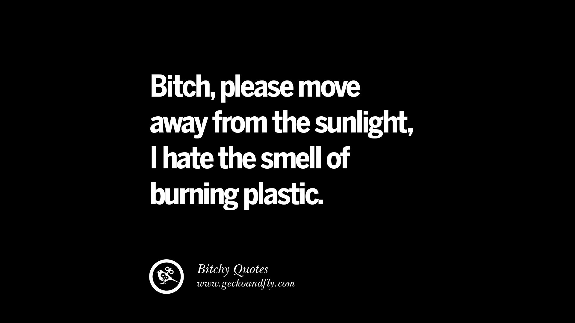 Bitch please move away from the sunlight I hate the smell of burning plastic