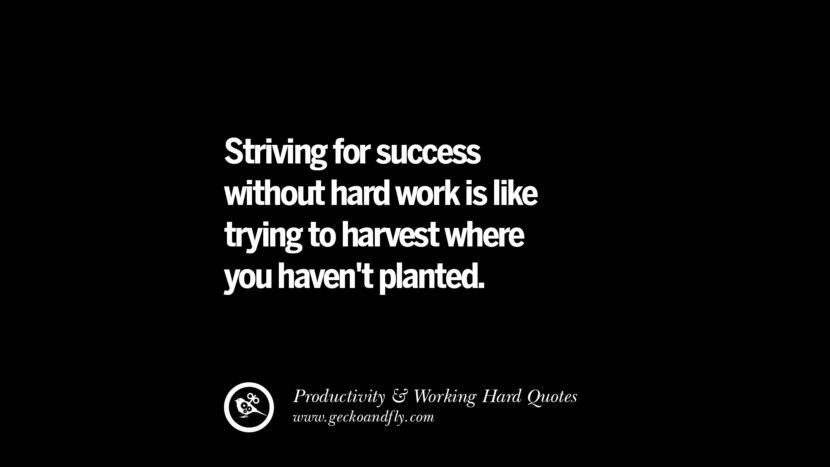 Striving for success without hard work is like trying to harvest where you haven't planted.