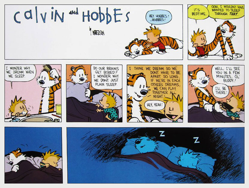 calvin and hobbes dream sleep death