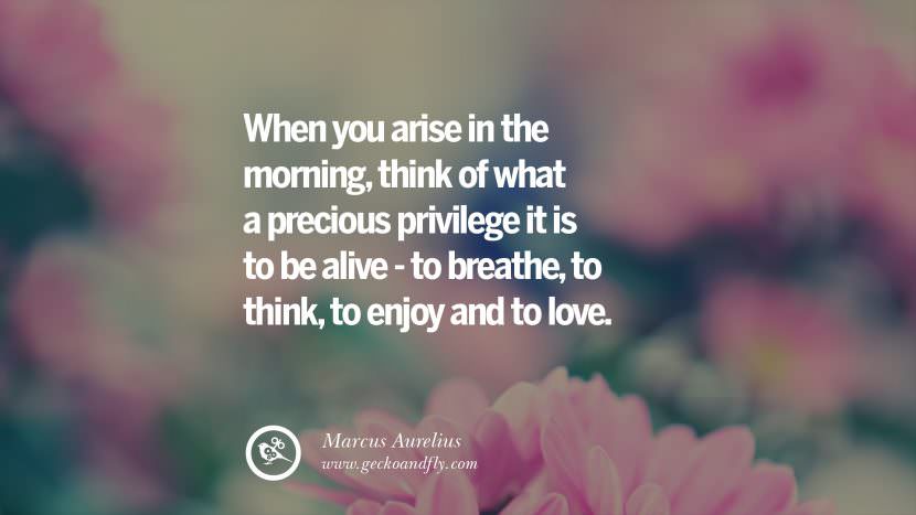 When you arise in the morning, think of what a precious privilege it is to be alive - to breathe, to think, to enjoy and to love. - Marcus Aurelius