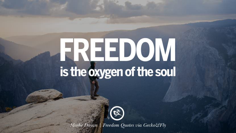 Freedom is the oxygen of the soul. - Moshe Dayan