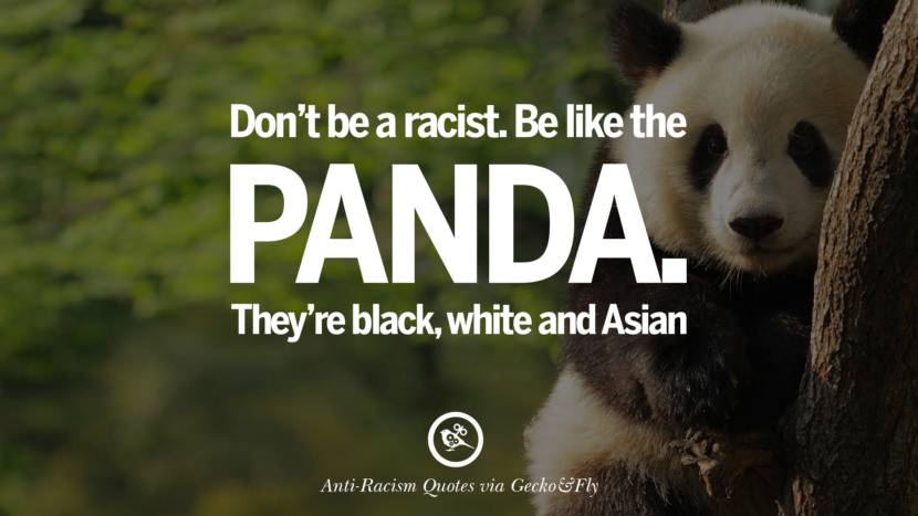 knowledge quotes simple Anti Quotes 16 Racism Discrimination And Racial About Against