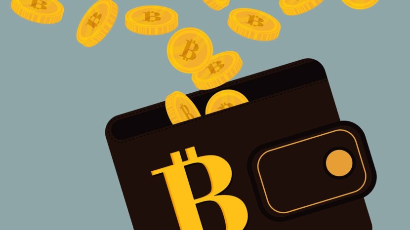 Best BitCoin Wallets With Low Transaction Fees