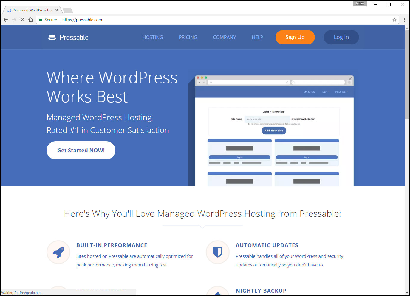 Wordpress host