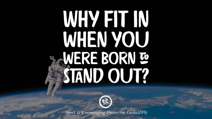 Why fit in when you were born to stand out?