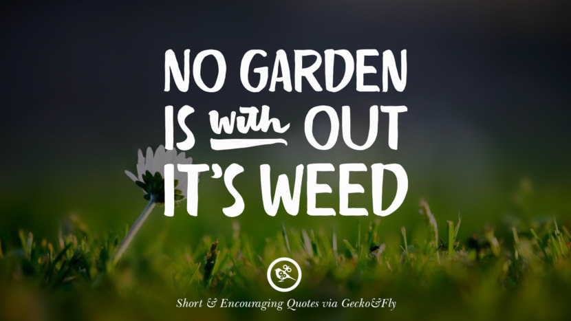 No garden is without it's weed.