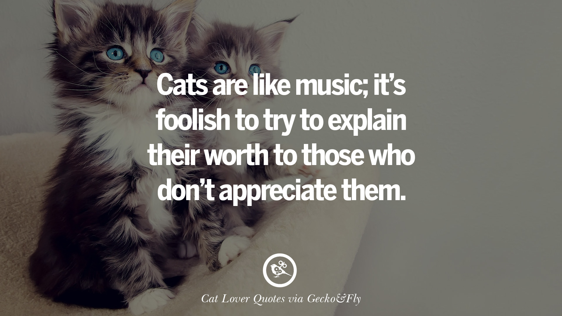 Download 25 Cute Cat Images With Quotes For Crazy Cat Ladies ...