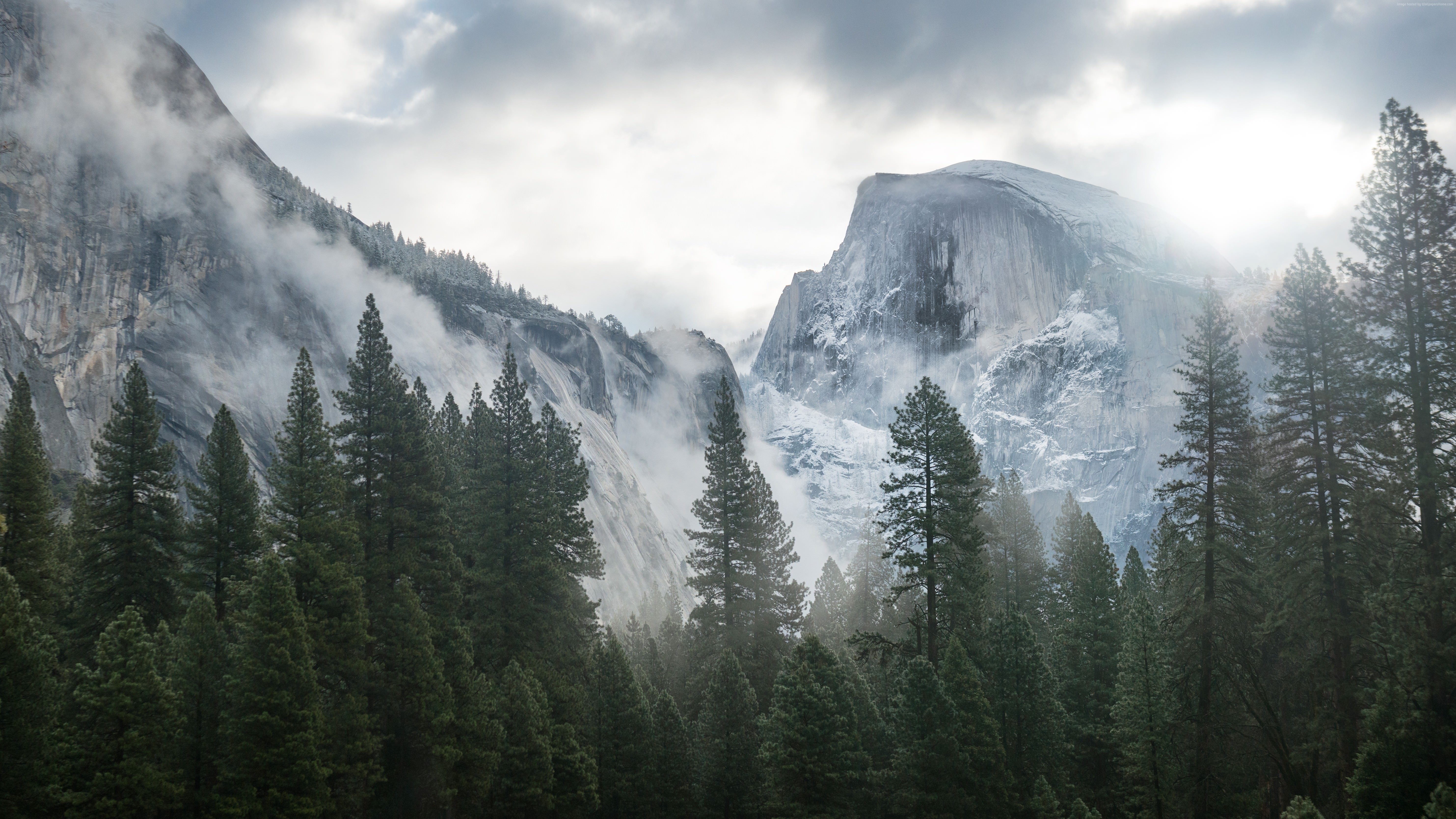 update apple os high sierra