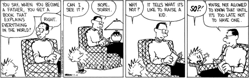 Calvin and Hobbes father fatherhood