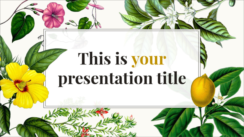 download best slides for powerpoint presentation