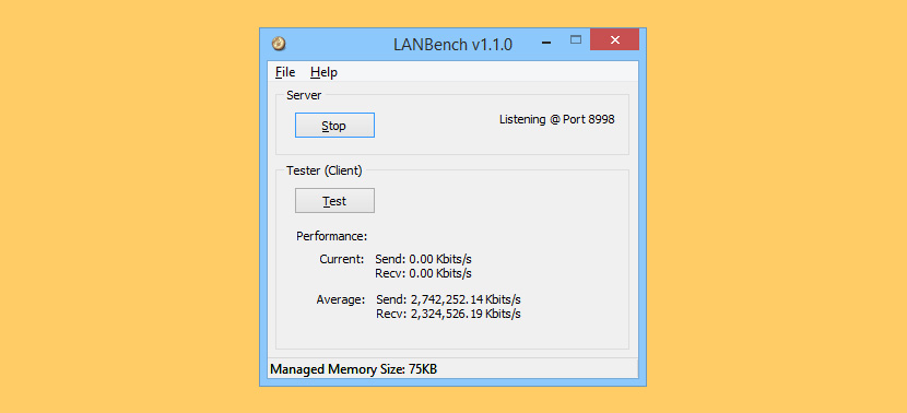 lst server ip address