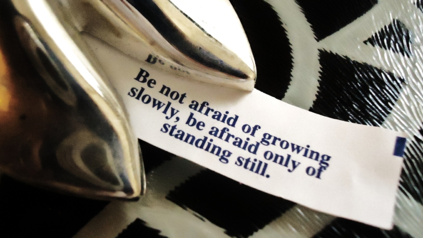 Be not afraid of growing slowly, be afraid only of standing still. Photo of Chinese Fortune Cookie