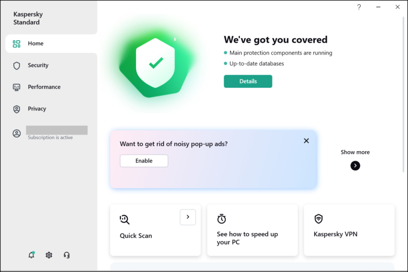 Kaspersky Standard screen shot