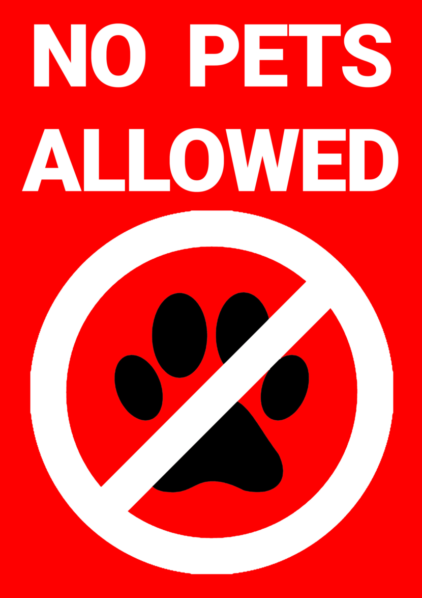 No Pets Cats Dogs Allowed Free Printable Signs
