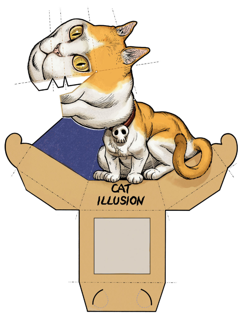 Cat Swivel Head illusions